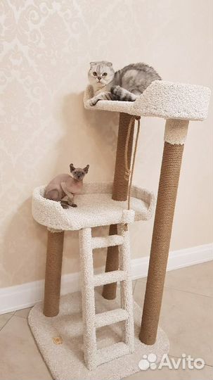 Когтеточка Комплекс для кошек «Кисельные берега»