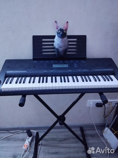 Синтезатор Casio CTK-5000