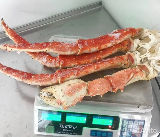 Клешни камчатского краба