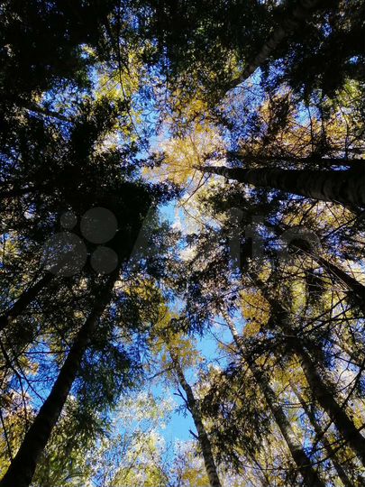 Участок 5,4 га (СНТ, ДНП)