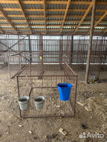 Клетки для телят