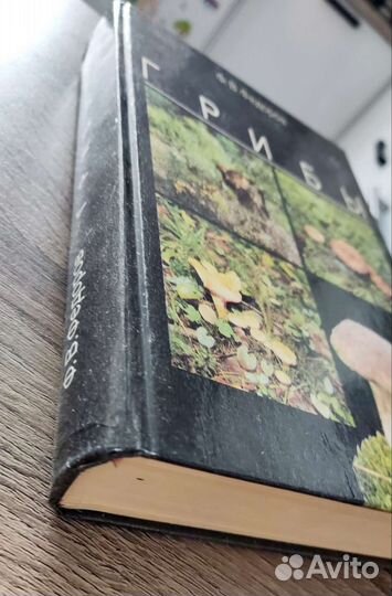 Грибы Ф. В. Федоров