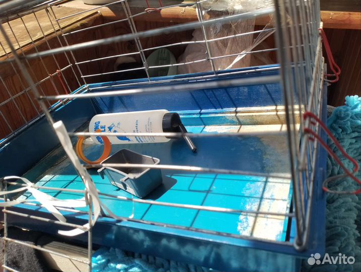 Клетка для морской свинки бу