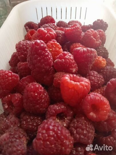 Варенье (Сладкие вкусняшки от наташки)