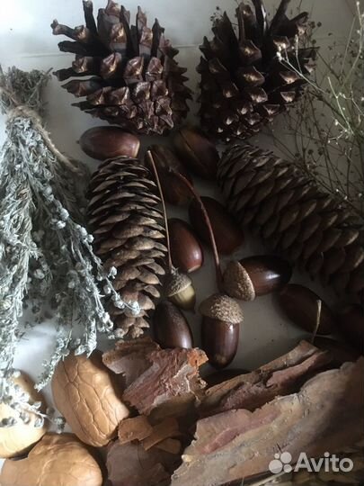 Набор для школьного творчества