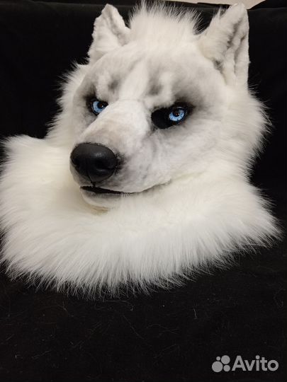 Фурсьют волка