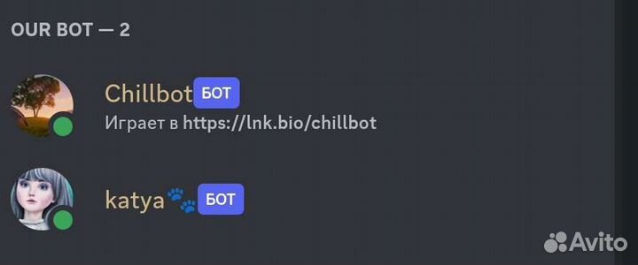 Discord bot фулл