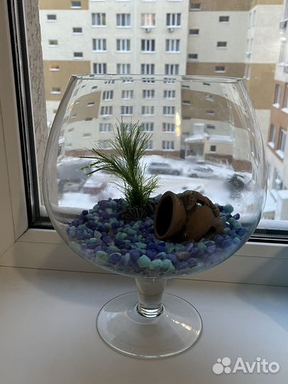 Аквариум с декором (можно отдельно )