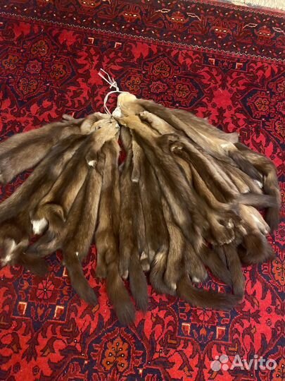 Шкурки соболя