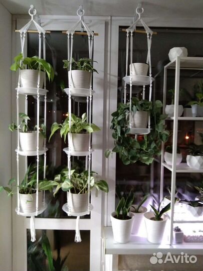 Кашпо для вьющихся растений