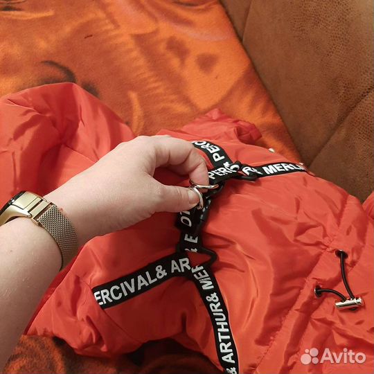 Комбинезон демисезонный на собачку