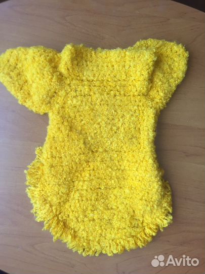 Одежда для собак