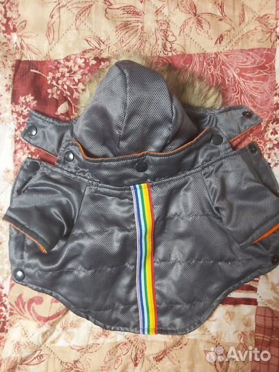 Вещи для собачки