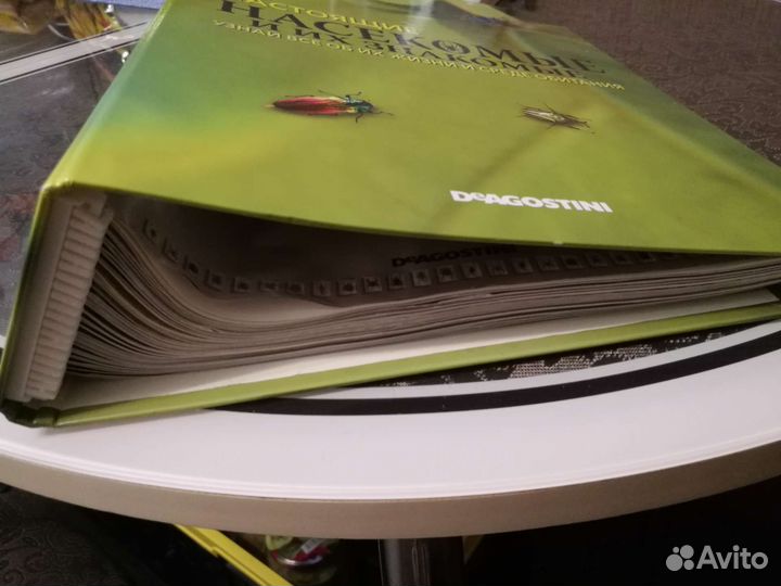 Журнал про насекомых