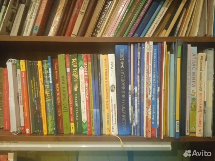 Книги (полка школьника)