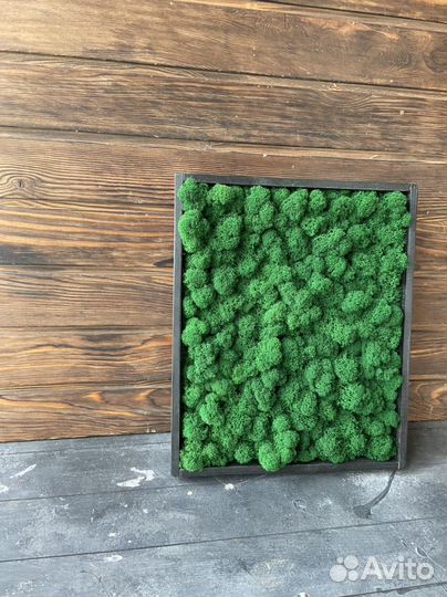 Панно из мха