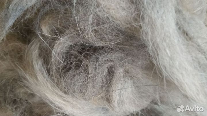 Шерсть собачья