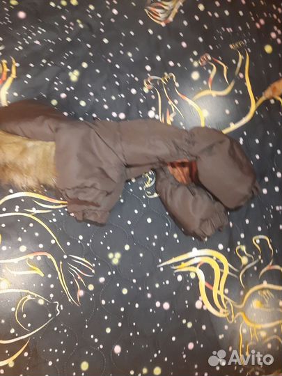 Одежда для маленьких собак xs