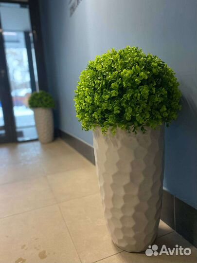 Искусственное озеленение, стабилизированный мох