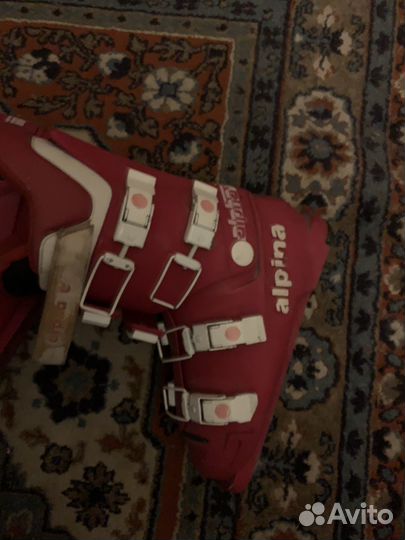 Горнолыжные ботинки alpina