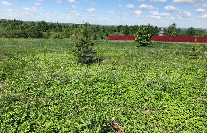 Участок 33 сот. (ИЖС)