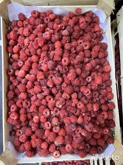 Киргизская клубника