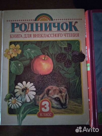 Книги для внеклассного чтения