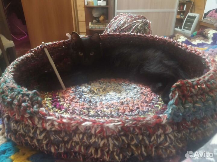 Лежанка для животных