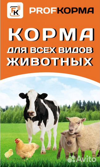 Корма для животных