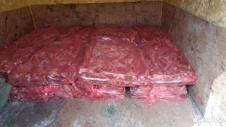 Говяжья обрезь, мясо, корм для собак, первый сорт