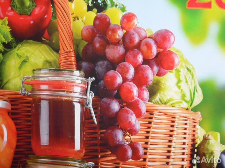 Саженцы винограда Изабелла, плодоносящие 40 кустов