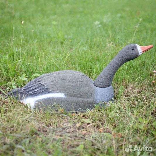Чучела гусей (скорлупки) 23 шт