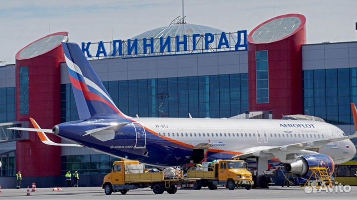 Экскурсия — Калининград — Калининград от трапа сам