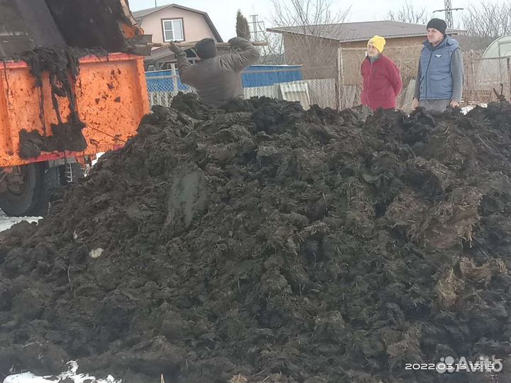 Навоз Лежалый Коровий