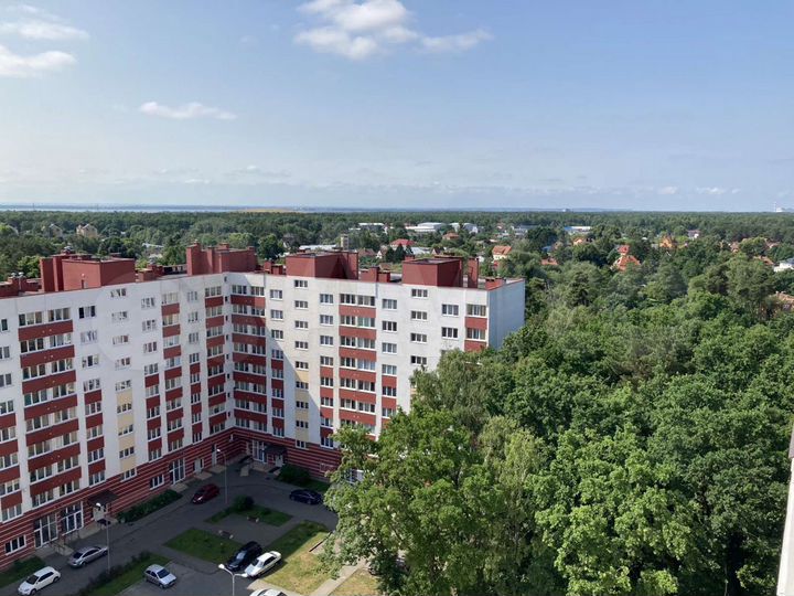 2-к. квартира, 54,5 м², 10/12 эт.