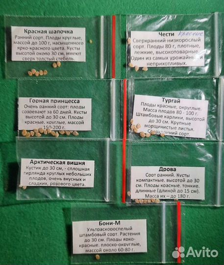 Семена помидоров томатов