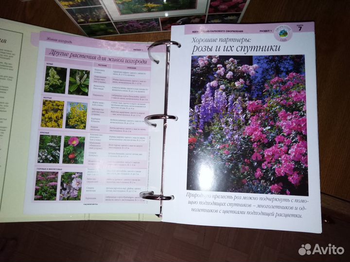 Полная энциклопедия 