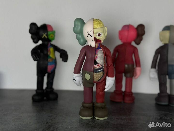 Kaws Anatomy