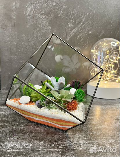 Флорариум с суккулентами