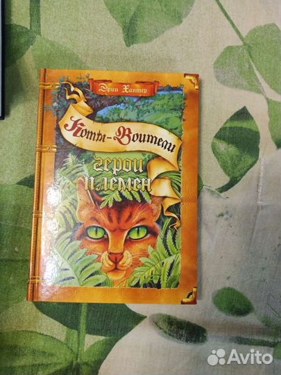 Коты-воители. Путеводитель