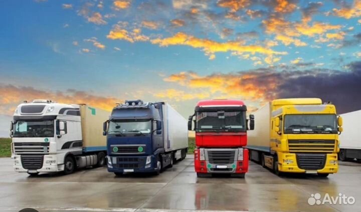 Санобработка автотранспорта кузова дезинфекция