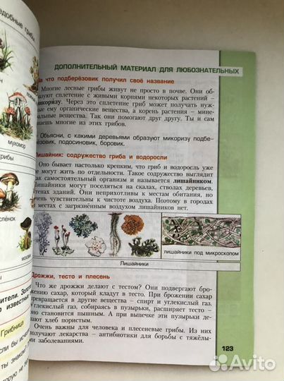 Окружающий мир 3 класс