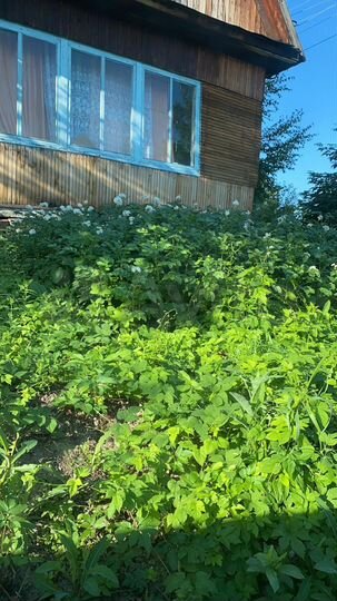 Дача 30 м² на участке 6 сот.