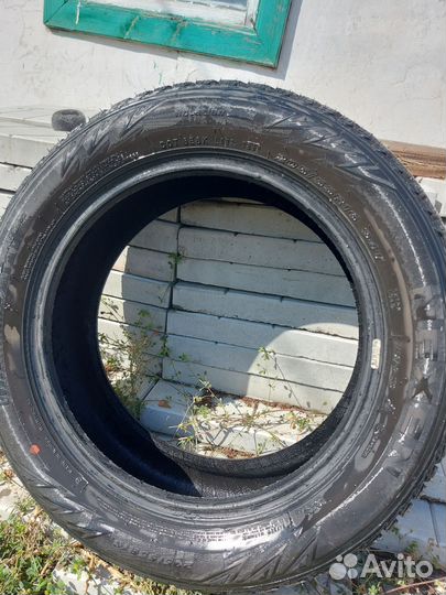 Nexen Winguard WinSpike WH62 205/55 R16