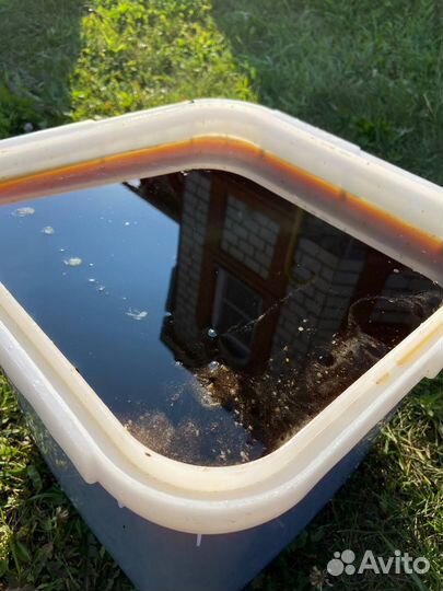 Мед из Алтайского края оптом