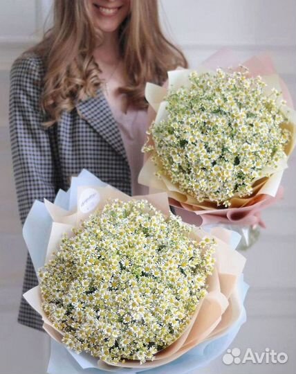 Цветы ромашки. Букеты ромашек. Цветы доставка