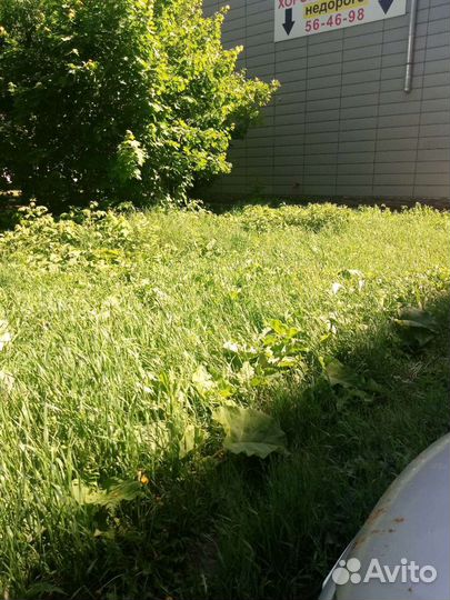 Обработка вашего сада от клеща,комаров,мух,тли