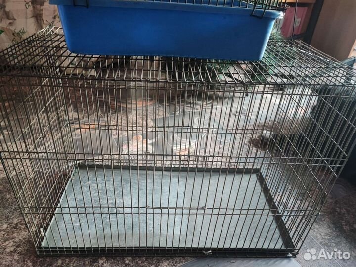 Клетка для грызунов маленькая, большая для птиц