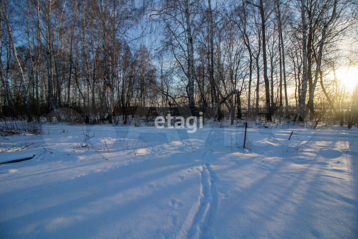 Участок 11 сот. (СНТ, ДНП)