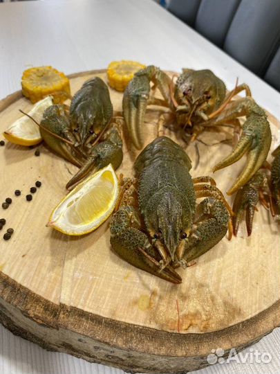 Раки в Томске